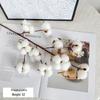 10-Head Artificial Cotton Flower Branch - Kapok Dried Decorative Bouquet for Christmas & Photography