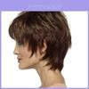 Short Curly Wig With Hightemperature Silk For Fashionable African Style For Women