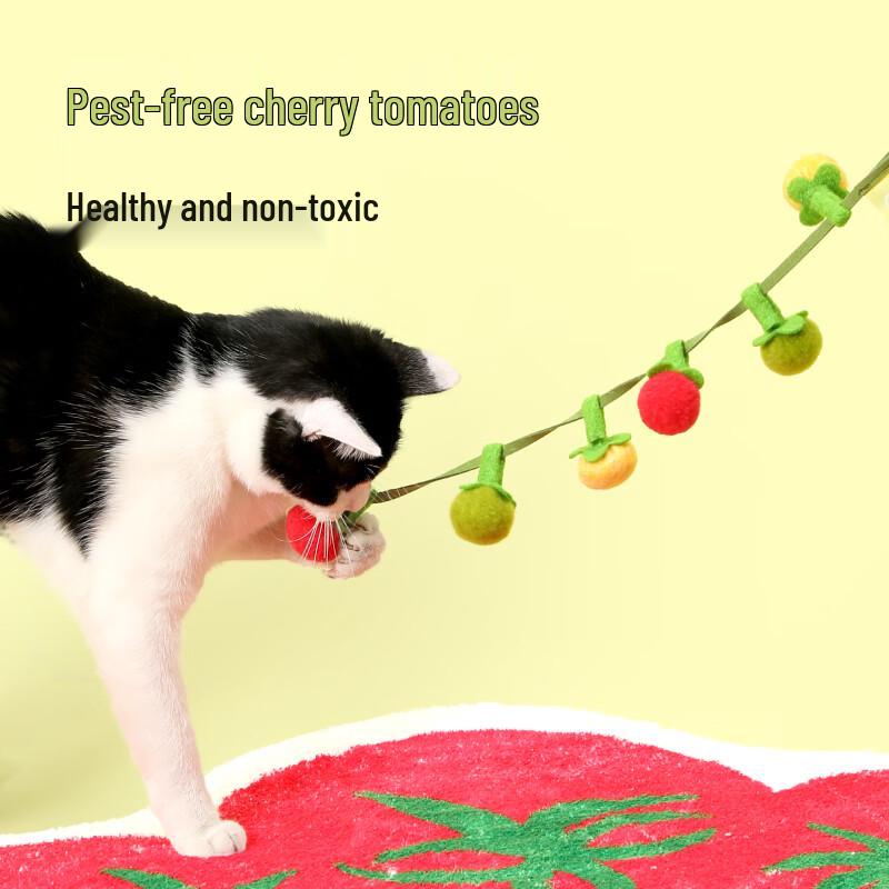 Catnip Teaser Toy with Bell