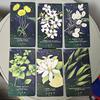 The Essential Oils Healing Deck 52 Cards To Enhance Body, Mind & Spirit 11*6cm