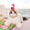 Очаровательный кот, шляпа для домашних животных, банан, утка, солнечный цветок, фламинго, тигр, мультяшный дизайн, застежка, лента, регулируемая забавная шляпа для домашнего животного, костюм
