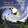 CD FORESTVATH - страна между саудаде GRCD001 Япония ОбиЯпонская поп/рок Б/у