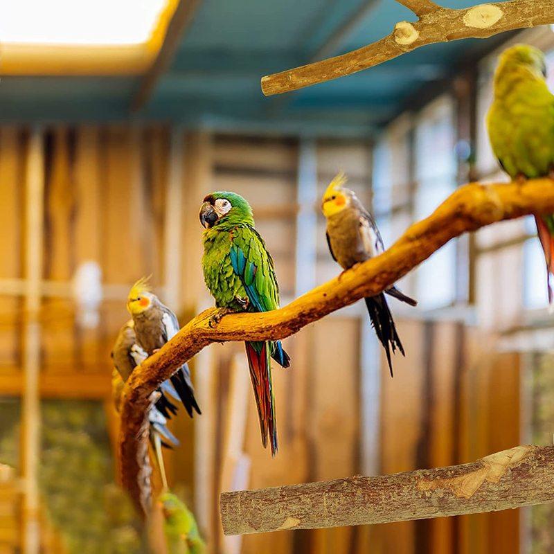 Natural Wood Parrot Perch Set, Bird Cage Stand Branch Platform for Budgie, Cockatiel, Pet Supplies