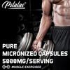 Pslalae Капсулы с микронизированным моногидратом креатина, высокая чистота, для фитнеса, спорта, пищевая добавка