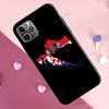 Чехол с флагом и гербом Хорватии для iPhone 12 13 Pro Max mini 7 8 Plus SE 2020 Чехол для iPhone 11 Pro Max XS XR X