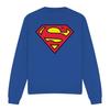SUPERMAN Унисекс Толстовка с логотипом для взрослых