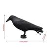 Simulation of Black Crows Driving Birds Pest Control Pigeon Driving Garden Outdoor Decoration Accessories