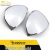 RX5PLUS 2020 Rearview Mirror Cover Trim and Modification Accessories