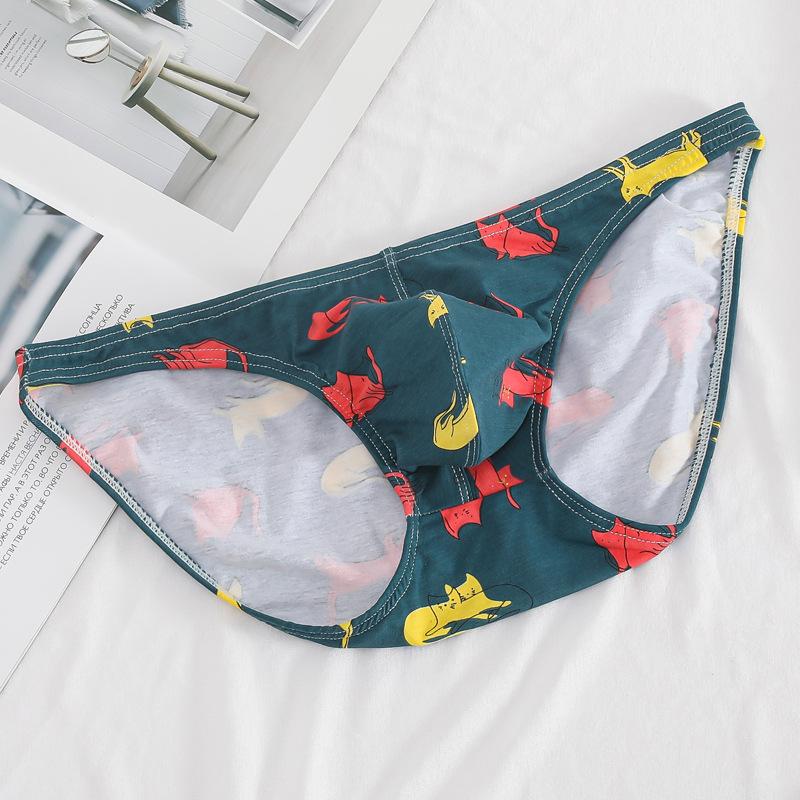Men's Printed Underwear Triangle Pants Cotton Low Waist Elastic Cross Border Large Size