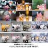 Животное Фигурка кота Котенок Игрушечный набор Миниатюрная маленькая фигурка Интерьер [FUPUTWO] (Набор 27) [Элемент]