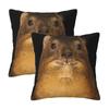 Rock Hyrax Photo Dassie Vampire Potato 2 pcs Square Pillowcase Pillow Cover Cushion Decor Comfort Throw Pillow for Home Bedroom