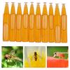 10Pcs Fruit Fly Attractant 2Ml Trap Bait Beekeeping Beehive Tool Killer Swarm
