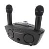 Беспроводная микрофонная система Dual Professional Home KTV Innovative Owl Беспроводная микрофонная система для караоке