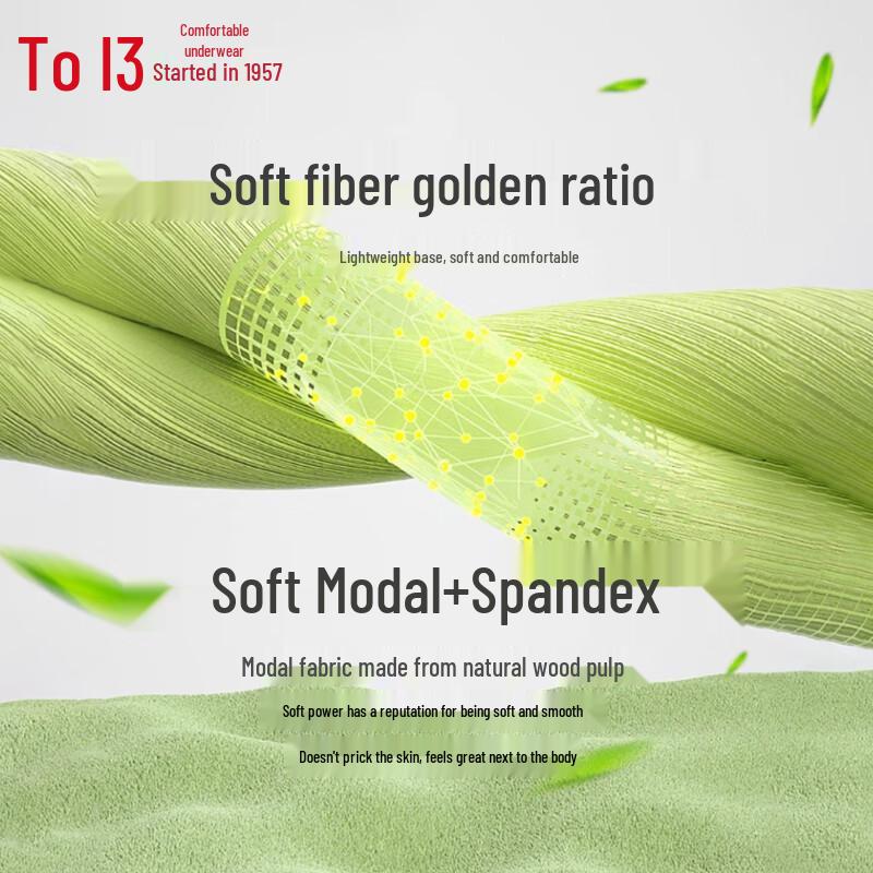 Hongdou Women's 7A Antibacterial Modal Silk Crotch Briefs 4-Pack