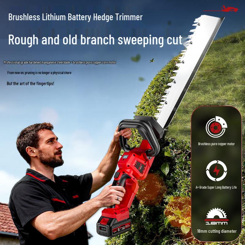 DELIXI ELECTRIC Cordless Hedge Trimmer CN plug (adapter included)