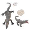 4 Pcs Lizard Life Cycle Toy PVC Realistic Educational Reptile Animal Growth Cycle Toy