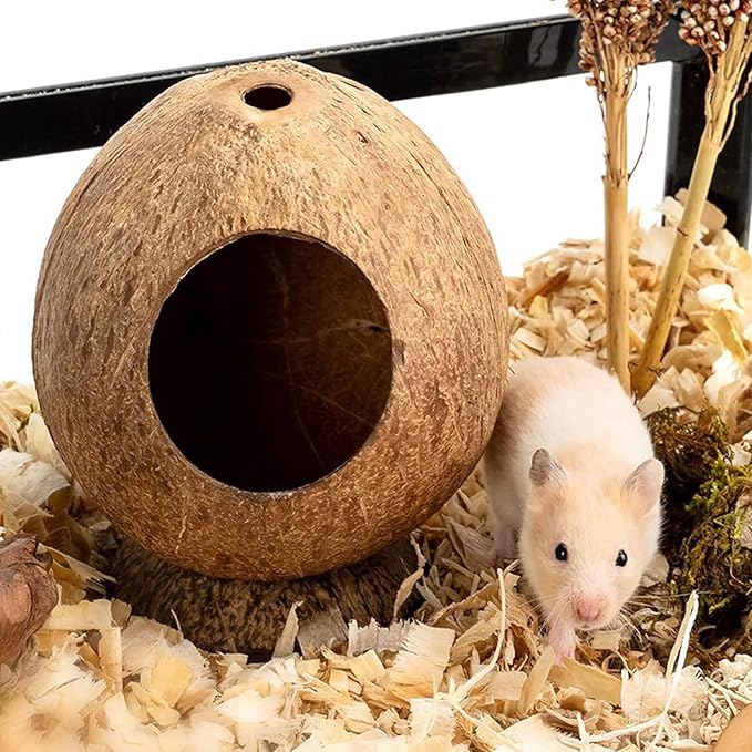 Убежище для хомяка Деревянный домик Кокосовая хижина Дом для хомяка Кровать для карликовых песчанок Мышей Крыс Мелких животных Рептилий