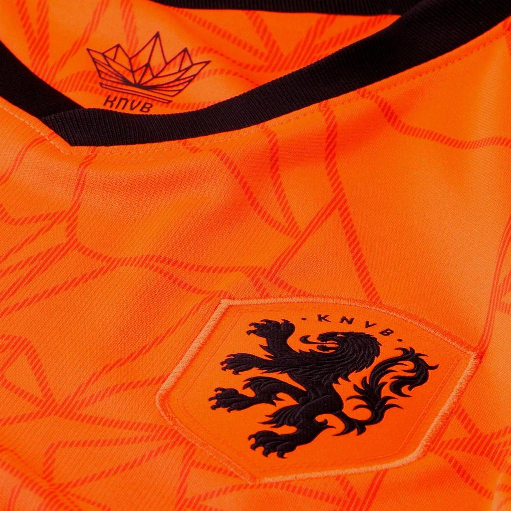 Nike Мужская домашняя футболка Нидерландов 2020 Оранжевая CD0712-819