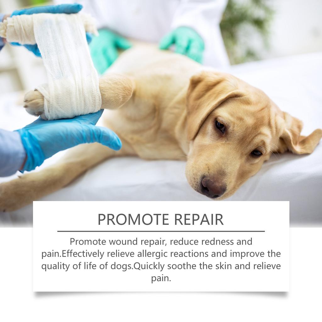 Спрей для чистки ран у собак, ухода за кожей питомцев, 100 мл