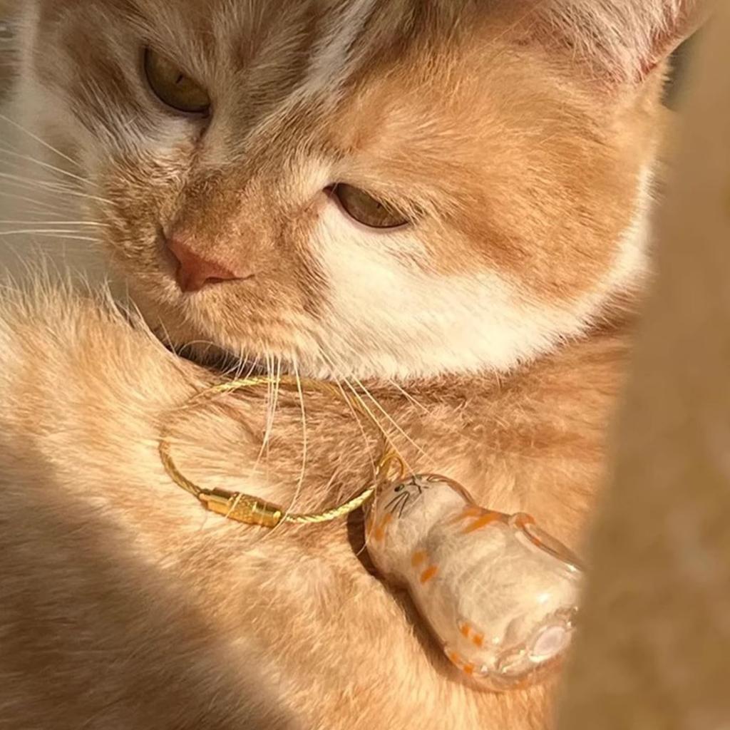 Прозрачная коробка для хранения кошачьей шерсти, подвесное украшение, капсула для хранения кошачьей шерсти в виде крученого яйца