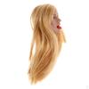 1/6 Scale Female Head Sculpt with Hair 2inch Action Figures A