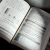 Interlanguage Corpus-Based Study of Chinese Learner Errors