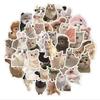 60 cat photos – как на картинке