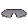 Oakley Oo9495d Radar Plate Asian Fit Polarized 949501 Unisex Sunglasses