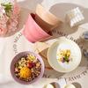 Persson Cream Style Ceramic Rice Bowl Set