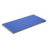 Hasegawa Polyethylene Blue Lightweight 500 X 300mm SDB20-5030