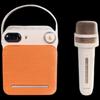Edifier PP203 Мини KTV Портативная Bluetooth колонка CN вилка (адаптер в комплекте)
