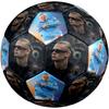 Haaland Norway Football Size 5 Soccer Football Machinestitched Indooroutdoor Universal Football Surprise Collection Gift