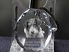 Romanian Mioritic Shepherd Dog, Ciobănesc Românesc Mioritic – Pendant with a photo of a dog, crystal key ring in a gift box | Art-Dog