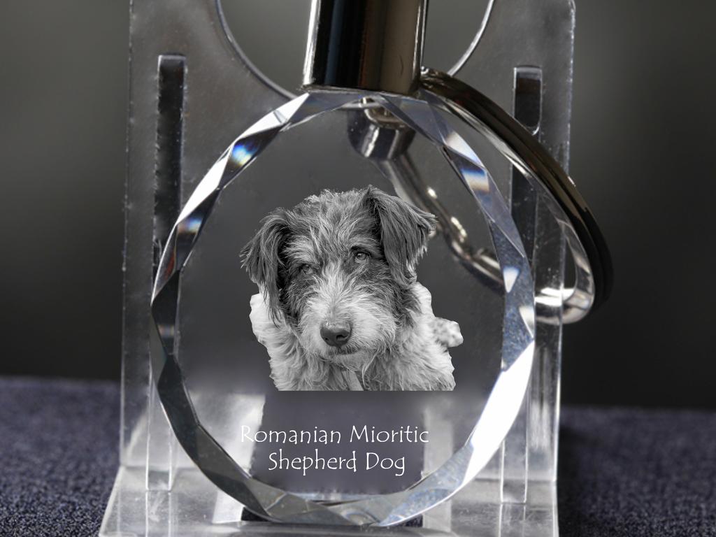 Romanian Mioritic Shepherd Dog, Ciobănesc Românesc Mioritic – Pendant with a photo of a dog, crystal key ring in a gift box | Art-Dog