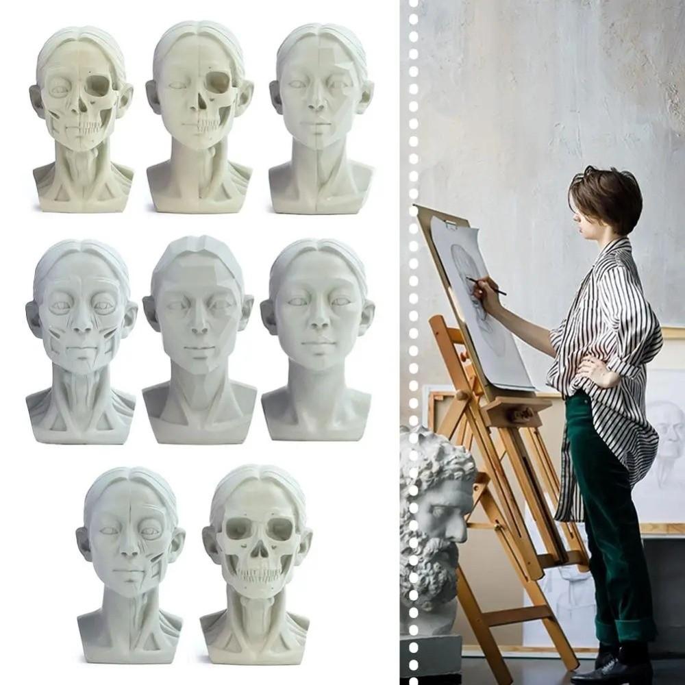 Натюрморт Орнамент Плоская Модель Головы Смола Эскиз Живопись Скульптура для Начинающих Художников