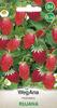 Wild Strawberry Rujana Red Perennial Seeds 0.2g Wild Strawberry Seeds -