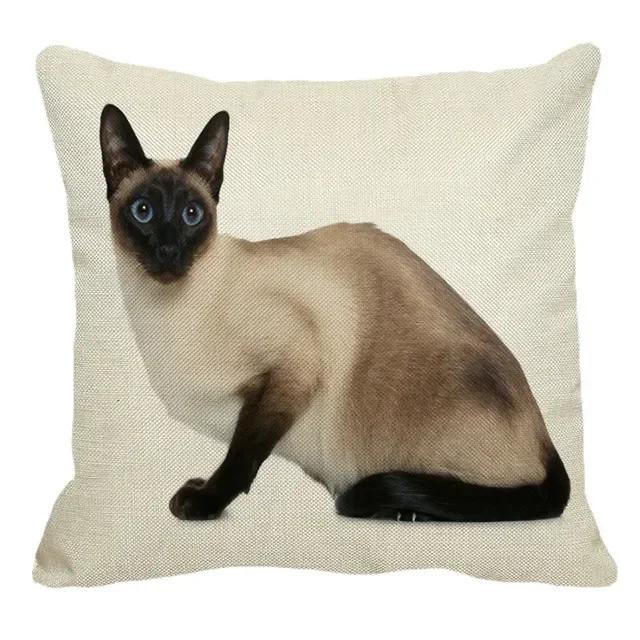 Thailand Cat Theme Pattern Double-Sided Printed Pillow Cover Short Plush Suitable Living Rooms Bedrooms Sofa Throw Cushion Cover