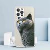 Чехол для телефона с изображением британской короткошерстной кошки для iPhone 16 17 Air 16E 15 14 Plus 13 Mini 12 11 Pro Max 7 8 + SE 2020 Мягкая задняя крышка из ТПУ 16