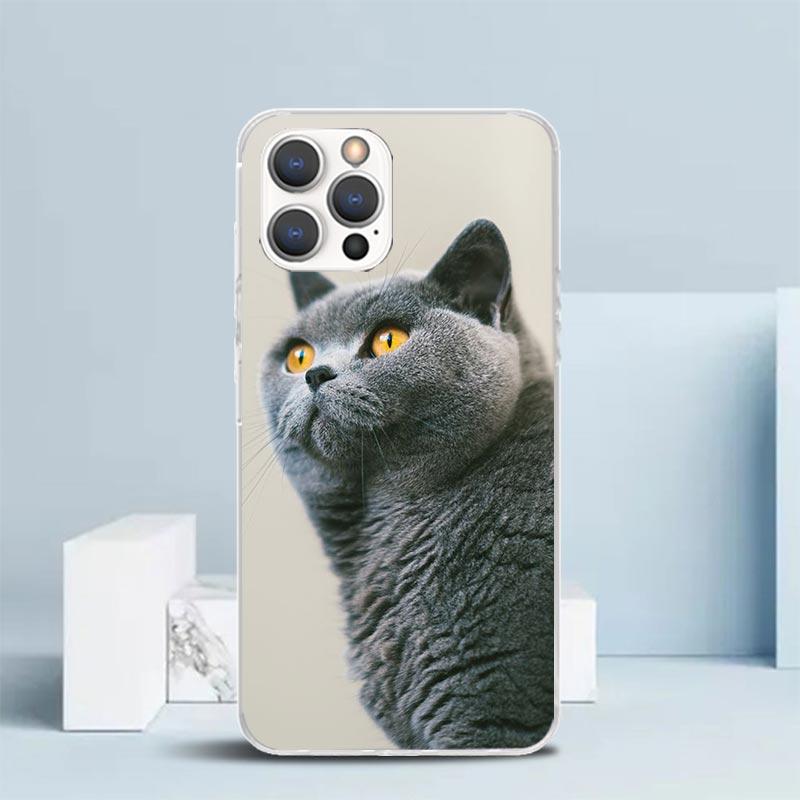 Чехол для телефона с изображением британской короткошерстной кошки для iPhone 16 17 Air 16E 15 14 Plus 13 Mini 12 11 Pro Max 7 8 + SE 2020 Мягкая задняя крышка из ТПУ 16