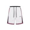 Спортивные шорты Dri Fit мужские CV1898-030