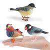 Animal Figure Desk Ornament With Static Design For Science Education And Bird Lovers