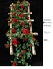 Artificial Rose Vine for Air Conditioner Pipe and Ceiling Wall Decoration