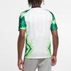 Nike Nigeria 20/21 Fan Edition Home Jersey 'Green White' Men's CT4225-100