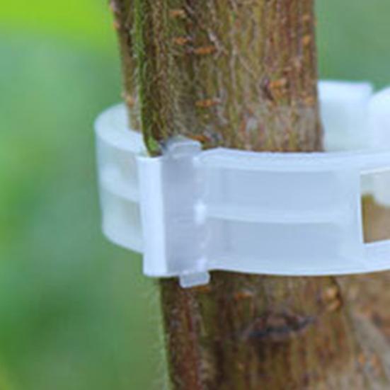 100 шт. зажимы для поддержки растений, экономящие трудозатраты, долговечные пластиковые подвесные зажимы для фиксации лозы для дома