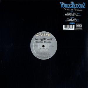 12-дюймовая пластинка YOUNGBLOODZ - Cadillac Pimpin' 07822151761 Arista 2002 США Рэп и Хип-Хоп/R&B Б/у