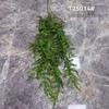 Artificial Green Fern Plant Vines for Indoor/Outdoor Wall Decoration