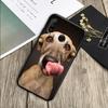 Dachshund Dog For Huawei Nova Y70 Y91 Y61 Y72 Y73 Y90 Y60 3i 7i 8i 11 12i 9 10 SE P20 P30 Pro P40 Lite Case