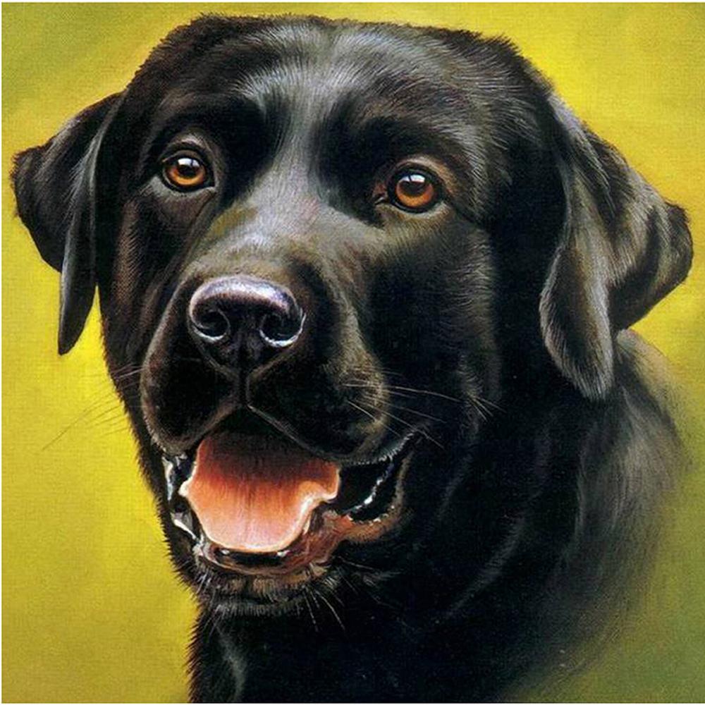 5D Diy Diamond Painting Animal Dog Full Circle Diamond Embroidery Art Picture Mosaic Gift Home Decoration Cross Stitch Kit Gift