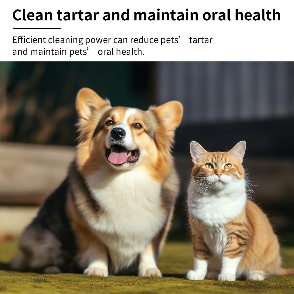 Спрей для свежего дыхания для собак и кошек, спрей для собак для легкой чистки, спрей для чистки зубов собак и кошек, для свежего дыхания, контроля зубного камня 100 мл
