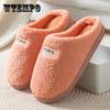 Warm Slippers Women Indoor Floor Flat Shoes Spring Autumn Winter Warm Home Cotton Plush Slippers